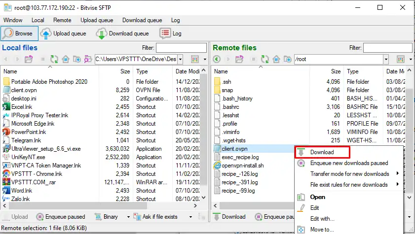 Download Config File